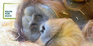 Wenn das Begehren fehlt